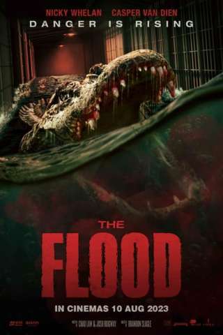 Alligator - The Flood