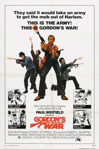 La guerra di Gordon