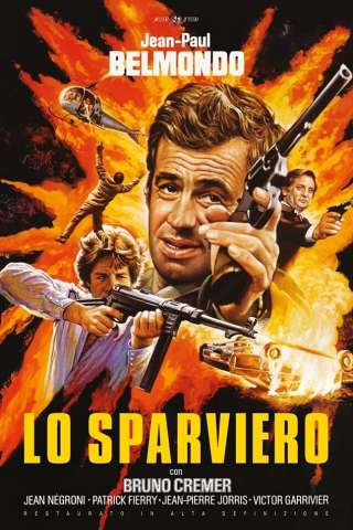 Lo sparviero
