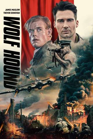 Operazione: Wolf Hound