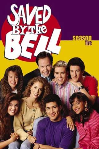 Bayside School