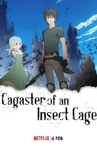 Cagaster of an Insect Cage