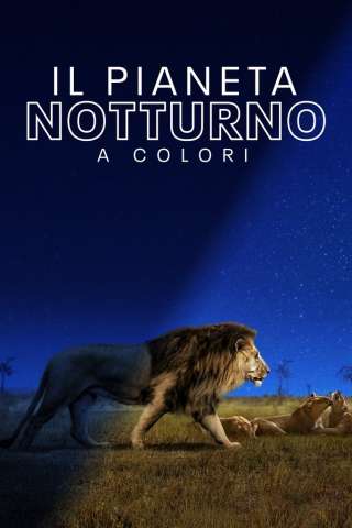 Il pianeta notturno a colori
