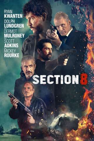 Sezione 8