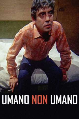 Umano non umano