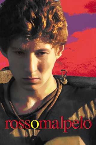 Rosso Malpelo