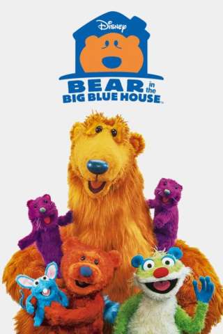 Bear nella grande casa blu