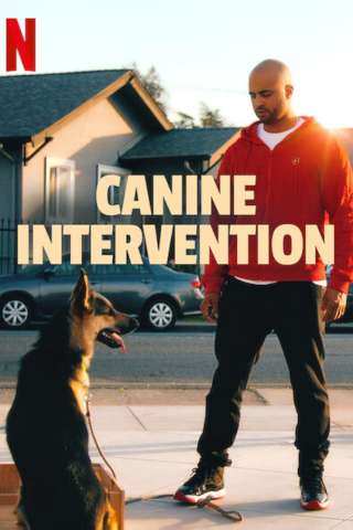 Canine Intervention