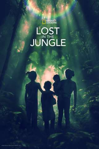 Lost in the Jungle