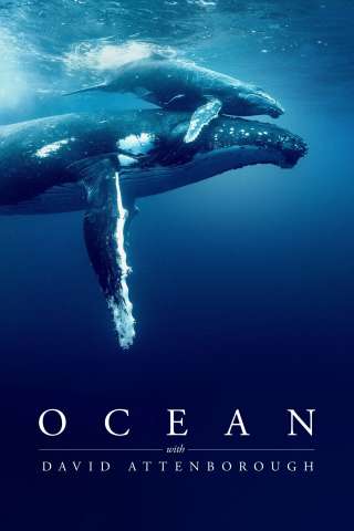 I Segreti Dell’oceano con David Attenborough