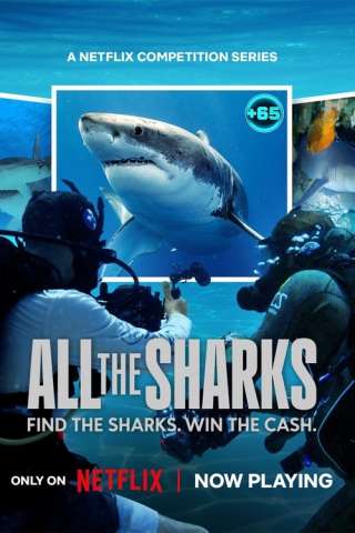 All the Sharks - In cerca di squali