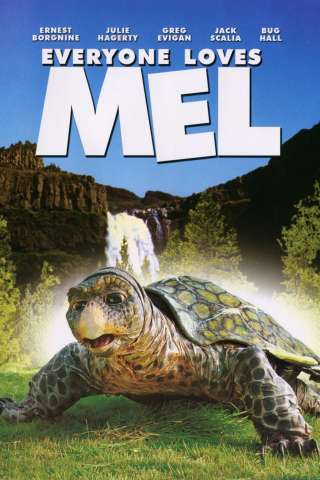 Mel - Una tartaruga per amico