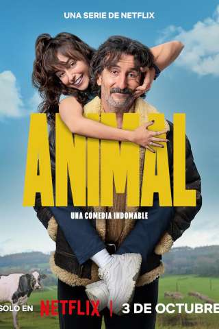 Animal