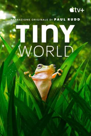 Tiny World