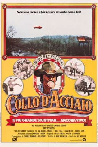 Collo d'acciaio