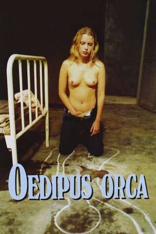 Oedipus orca