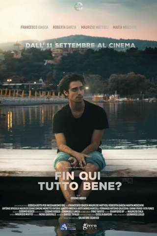 Fin qui tutto bene?