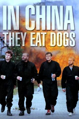 In Cina mangiano i cani