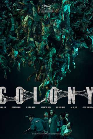 Colony