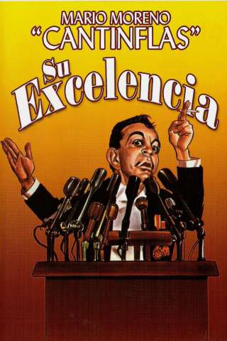 Su Excelencia