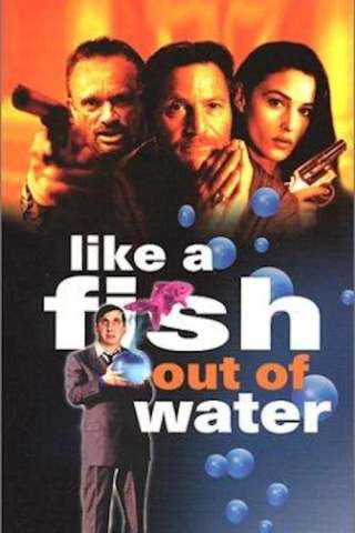 Come un pesce fuor d'acqua