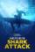 Investigation Shark Attack