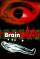 Brainwaves onde cerebrali